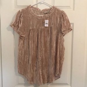 Loft crushed velvet ruffle neck top.
